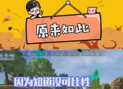 江南体育-直接说了，猪哥这联名后面必涨价5亮21回复绝地求生