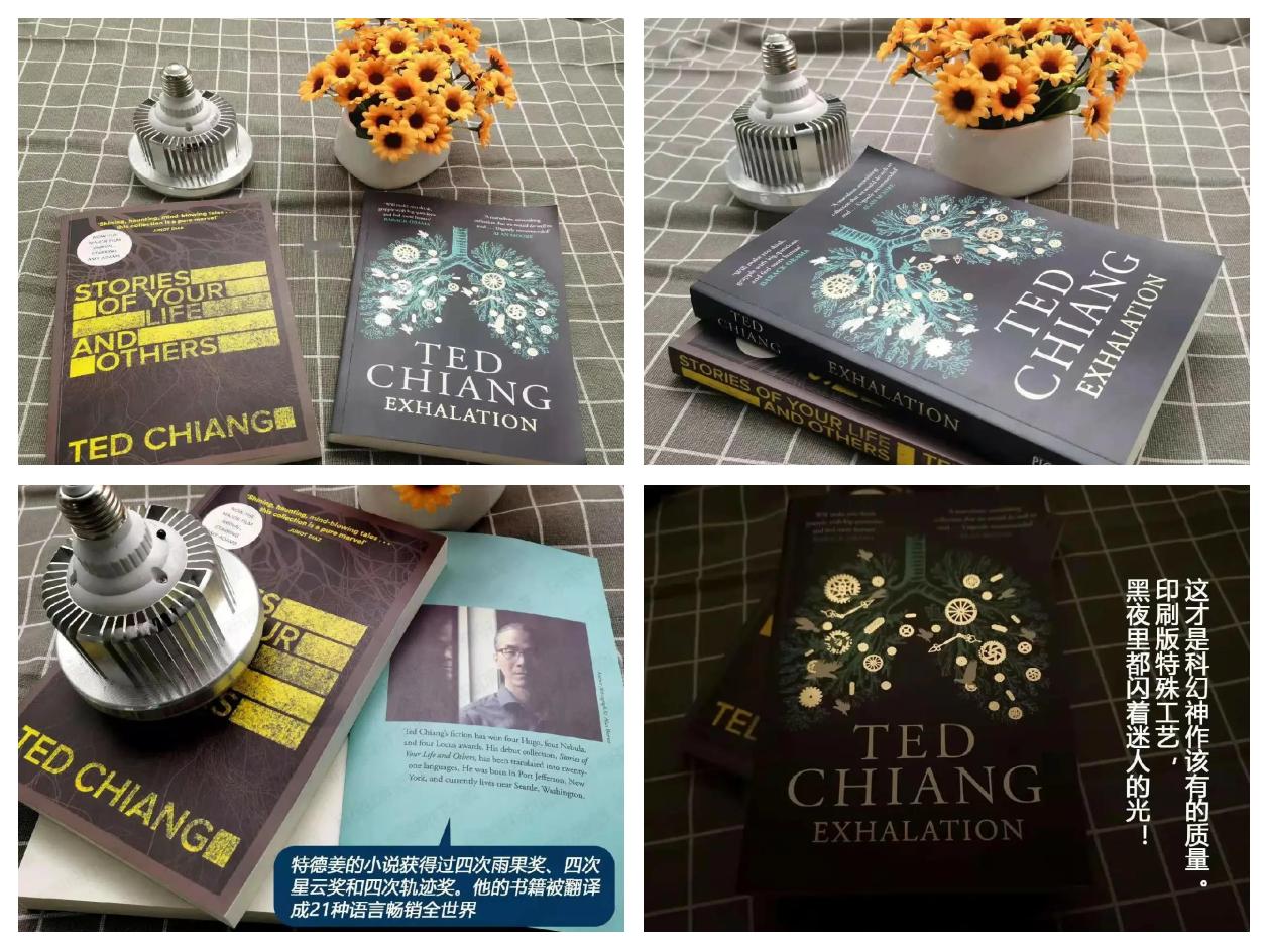 包含史蒂文斯：雨果年轻又有点老灵魂，他在成人联赛打了很久了的词条